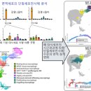 코로나19 환자 폐 손상 원인, 韓 연구진이 밝혀냈다 이미지