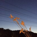 장미원내부 화장실 이미지