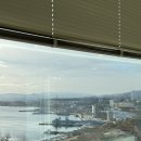 엘마르 | 동해 바다뷰 감성숙소 ‘엘마르 펜션’ 후기｜묵호항 신상 숙소