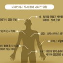 72차 수야라 폭파이유~((재등록)-미세먼지의 인체에 끼치는 영향...) 이미지