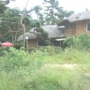 소나무가든 이미지