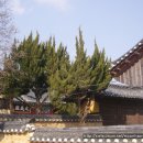 고령향교 이미지