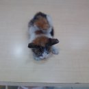 하얀사세탁소 이미지