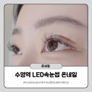 수영역 LED속눈썹 온네일 후기, 자연스럽고 또렷한 연장