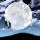 눈부신하루 - 화성시 31만세로 47 | 눈부신하루