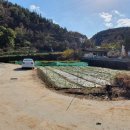 율곡면사무소 이미지