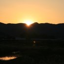 맘보민박 이미지