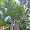 은행2리 마을회관 이미지