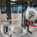 듀얼위너