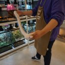 와우펫앤쥬 부산점 이미지