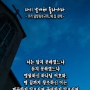 핸드폰 배경화면&잠금화면_20230827_이사야 40장 28-29절_다시 날개쳐 올라가라_오순절 후 열세 번째 주일 묵상_우리 밀양동부 이미지