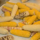 세븐일레븐 오산오색시장점 | 경기도 전통시장 오산 오색시장 장날 후기 주차장 꿀팁 먹거리 추천