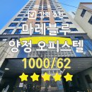 블루마레 이미지