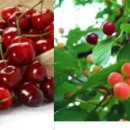 서원동-9 이미지