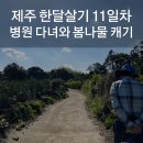 표선하늘의원 이미지