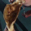 록천목욕탕 이미지