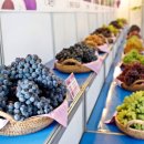 옥천상회 이미지