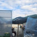 달달청과 이미지