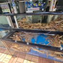 속초게랑회랑 이미지