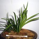 준 소프트 이미지