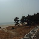 원산도해수욕장 Daum카페