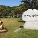 도덕산캠핑장 이미지