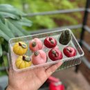 큰마을저수지 | 울산 청년도전지원사업 후기 (장기반 1회차,2회차)