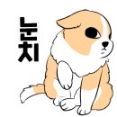 자두야놀자 이미지