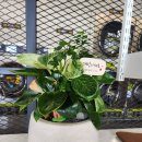 중화요리 강운