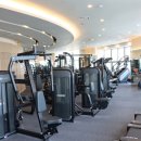 아바니핏 이미지