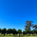 야우농장 | [시드니 여행#6-2] 시드니에서 코알라 궁댕이 만지기! (+오크베일 동물원, 와인 무료 테이스팅)