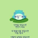 더만실 Daum카페