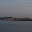 조류생태전시관 이미지