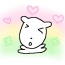 샤브홀리&쪽갈비 이미지