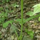 박달나무쉼터 옆 이미지