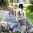 스테이 댕댕 이미지