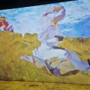 서울 라이트 인 명동 이미지