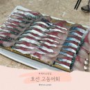 호선 | 제주공항 근처 맛집 추천 호선 제주고등어회 내돈내산 후기