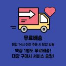 엘프바BC10000 프로즌 쿨링최상! 일회용 전자담배