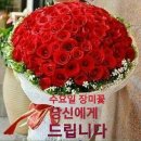 7월 인사말 이미지 이미지