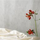빈네일 - 수성구 명덕로76길 81 | 빈네일