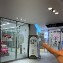 티티247