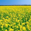 색채심리 이미지