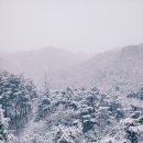 캠프우든브릿지 이미지