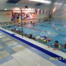 수달수영장 이미지