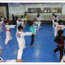 용인대 한얼 태권도 이미지