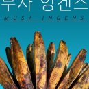 트로피컬랩