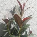 범수네농장 이미지