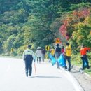 입암지구대 이미지