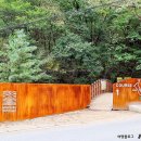 민둥산로 입구 이미지